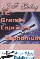 12 Grands Caprices op.32 