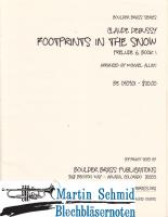 Footprints in the Snow (423.11) 