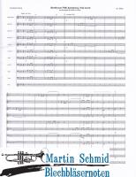 Beethovens 5th Symphony, mvmt 1 (422.11) 