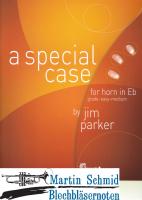 A Special Case (Horn in Es) 