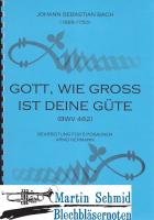 Gott, wie gross ist deine Güte (5Pos) 
