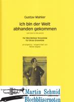 Ich bin der Welt abhanden gekommen 