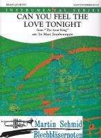 Can You Feel The Love Tonight 