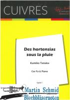 Des Hortensias sous la pluie 