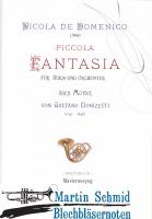 Piccola Fantasia über Mozive von Gaetano Donizetti 