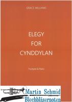 Elegy For Cynddylan 