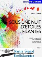 Sous une nuit d’étoiles filantes (Neuheit Horn) 