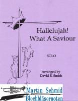 Hallelujah! What A Saviour! 