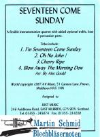 Seventeen Come Sunday 