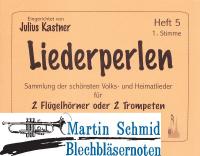 Liederperlen Heft 5 (Nr. 321-404) - Sammlung der schönsten Volks- und Heimatlieder 