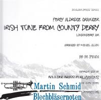 Irish Tune from County Derry (423.11) 