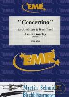 Concertino (Hr in Es) 