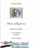 Dona nobis pacem - Meditation in B 