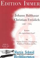 Kantate "Du angenehmer Fund" (Sopran oder Tenor.2Trp.Pk.2Vln.Bc) 