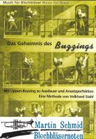 Das Geheimnis des Buzzings 