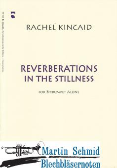 Reverberations in the Stillness 