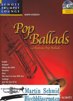 Pop Ballads - 14 Famous Ballads 