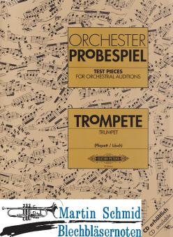 Orchester-Probespiel 