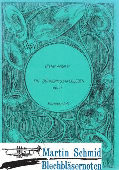 Ein Bühnenmusikerleben 