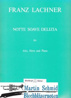 Notte Soave Delizia (A.Hr.Klav) 