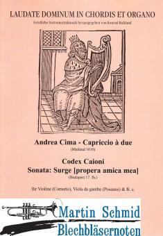 Capriccio a due (Vl/Zink.Viola da gamba/Pos.Bc) 