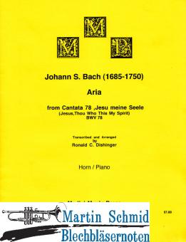 Aria "Jesu meine Seele" BWV 78 from "Cantata 78" 